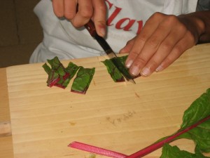 ----amanida de l'hort 010