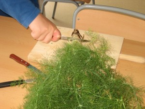 -----amanida de l'hort 017