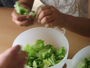 ----amanida de l'hort 020