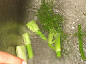 ----amanida de l'hort 034