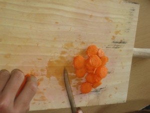 -----amanida de l'hort 038