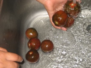 -----amanida de l'hort 039