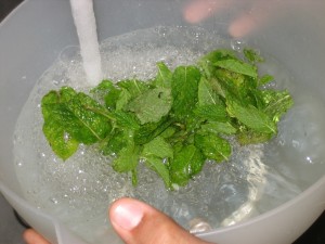 -----amanida de l'hort 045