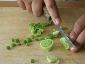 -----amanida de l'hort 052