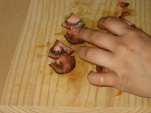 -----amanida de l'hort 058