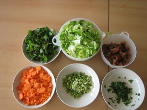 -----amanida de l'hort 067