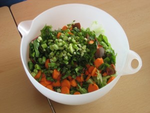 ----amanida de l'hort 071