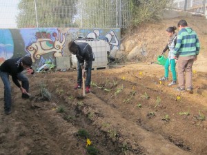 institut_visita omar 017