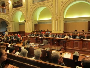 VISITA DIPUTACIO PLE 008