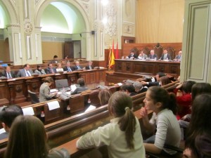 VISITA DIPUTACIO PLE 016