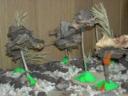 plantes-4.JPG