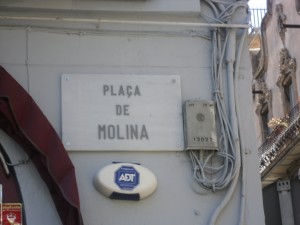 CIMG3853