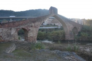 DSC_0293[1]