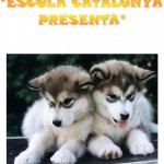 gossos