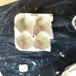 foto 3 (1)