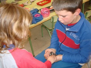 HAMSTER1