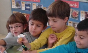 a caseta de xocolata 20151014_105764