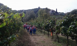 a xafar raim 20151005_105560 - copia (3) - copia - copia - copia