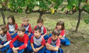 a xafar raim 20151005_105562 - copia - copia - copia - copia - copia