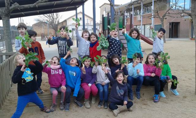 Cambiar tamaño20160118_153630