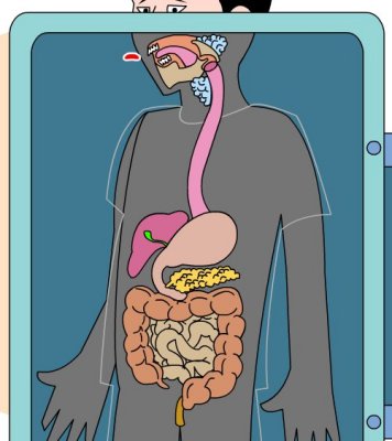 digestio