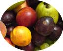 fruites.jpg