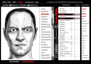 Expresiones del rostro