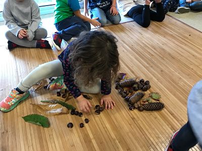 Copia de 4E48CF36-0970-4162-8424-1EF872B44E17_opt