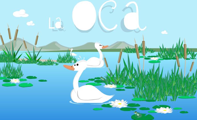 oca