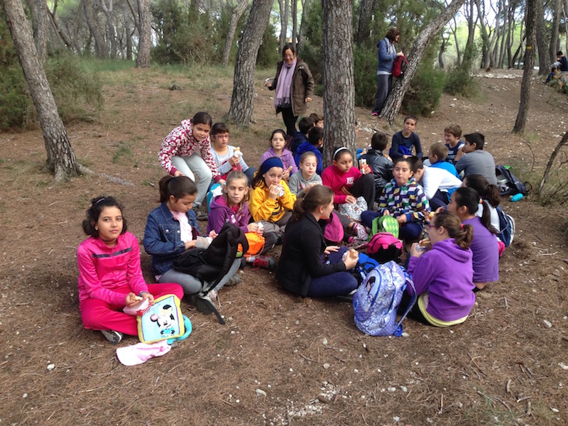 Castanyada2015