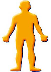 body_pict.jpg