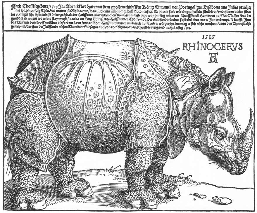 Albert Durero - Rhinocervs - Xilografía 1515
