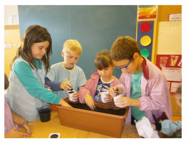 Diapositiva12 (640x480)