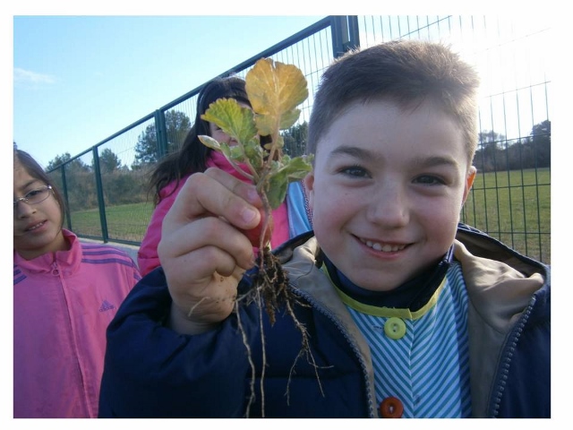 Diapositiva30 (640x480)