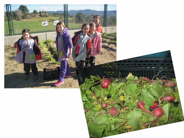 Diapositiva31 (640x480)