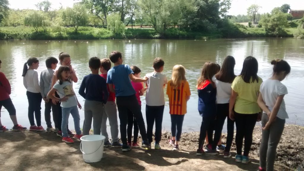 IMG_20170425_120155160