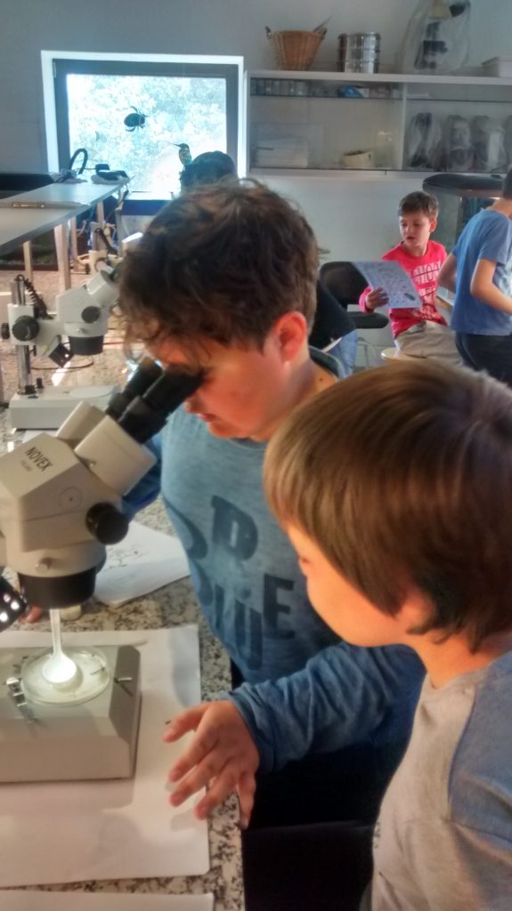 IMG_20170425_123055770_HDR