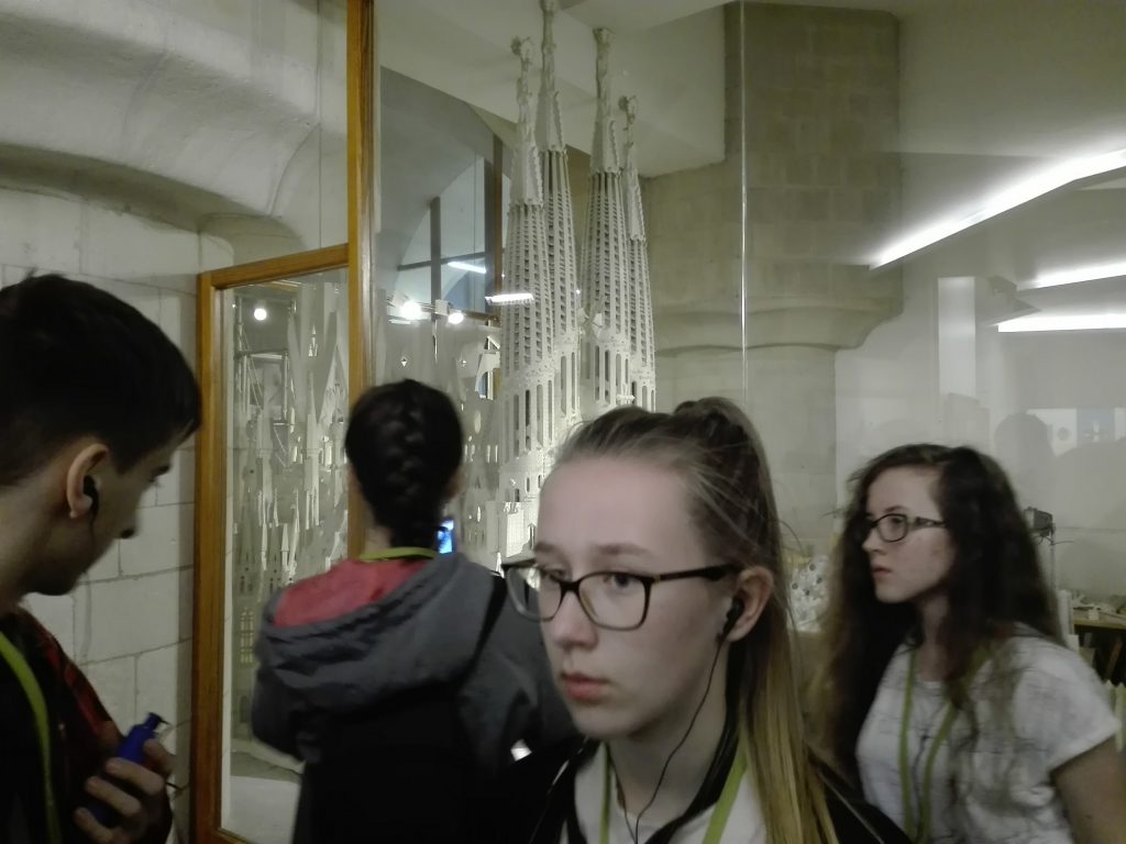 Alumnes polonesos