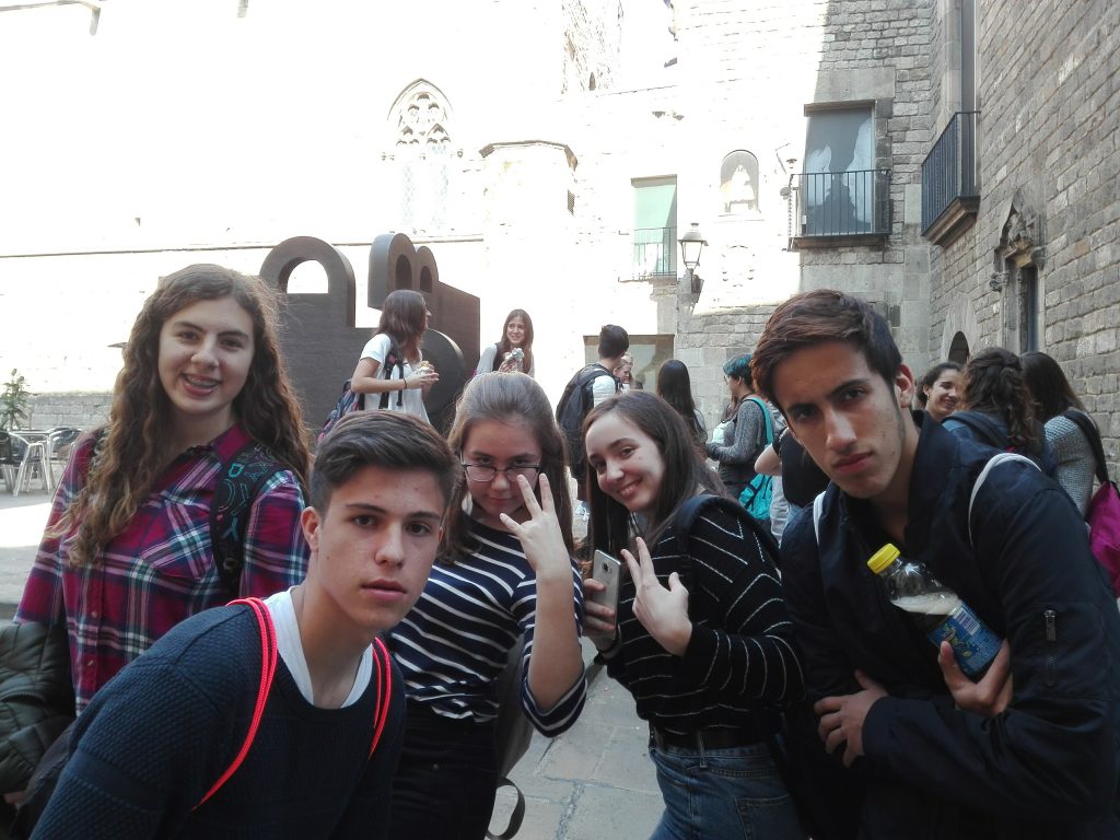 grup toonteries