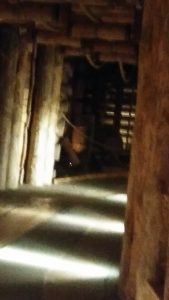 20170514_132456