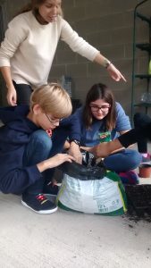 IMG_20161019_141604620