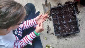 IMG_20161019_141847456_HDR