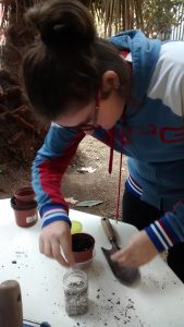 IMG_20170201_093644241