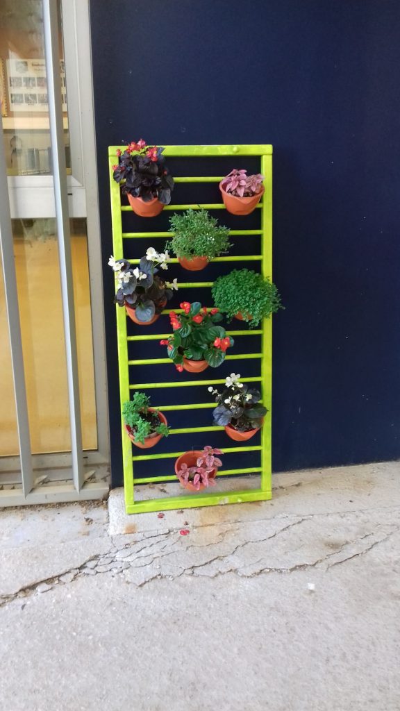 20170509_163126-iloveimg-compressed