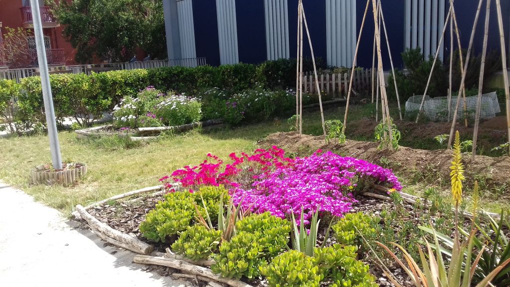 20170509_163157-iloveimg-compressed (1)