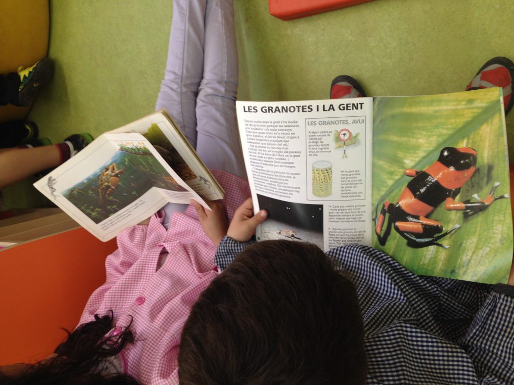 BASSA BIBLIOTECA 5