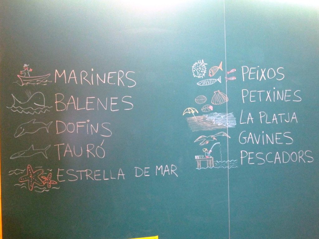 tenim moltes propostes