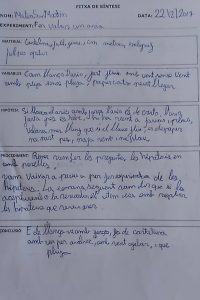 Informe 1
