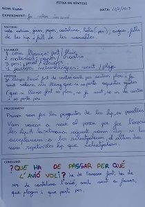 Informe 2