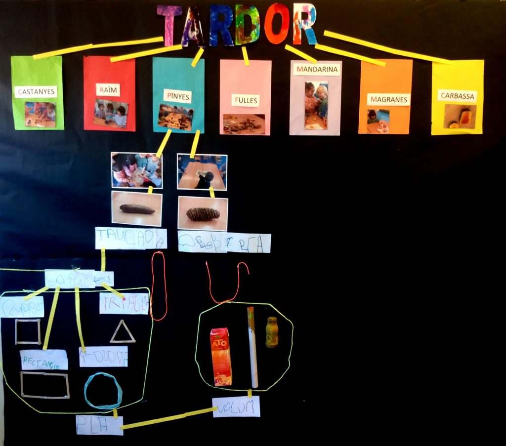 IMG_20170317_130040 - Còpia